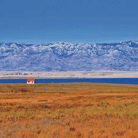 Skrapavac Ii Br Vi *