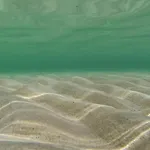Semesterbostad Skrapavac Ii Br Vi Privlaka (Zadar)