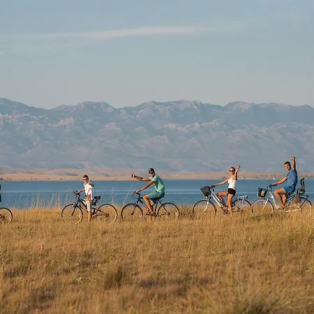 Skrapavac Ii Br Vi Privlaka (Zadar)