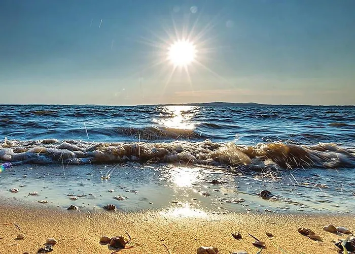 Skrapavac Ii Br Vi *