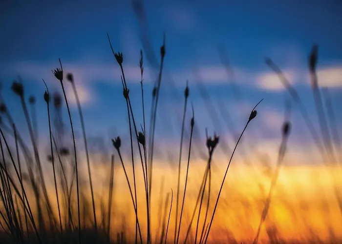 Skrapavac Ii Br Vi Casa vacanze *