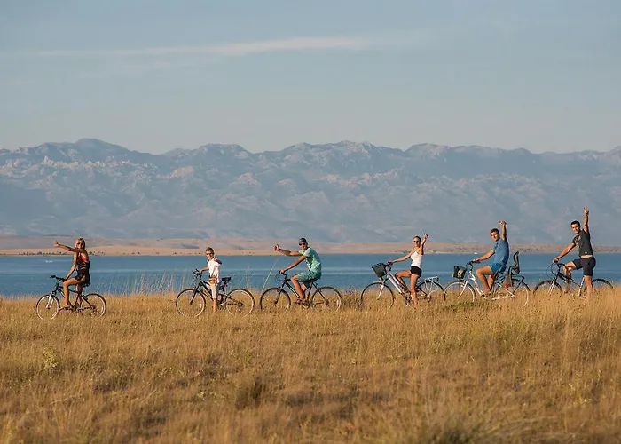 Skrapavac Ii Br Vi Privlaka (Zadar)