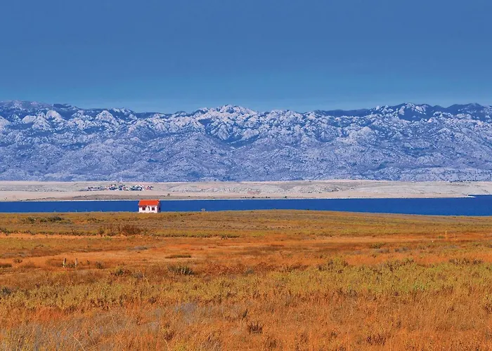 Skrapavac Ii Br Vi *